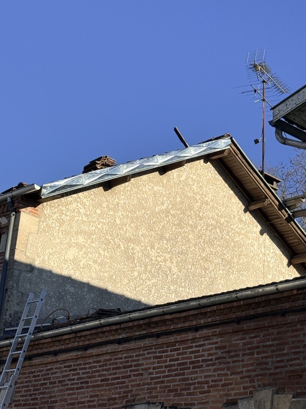 rive de bandeaux en zinc pointe de diamant 