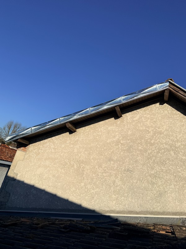 rive de bandeaux en zinc pointe de diamant 